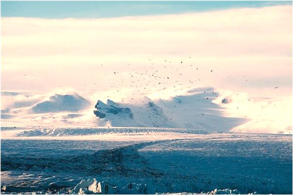 夢到了開車進入了高架獨水泥橋是什麼預兆_周公解夢官網