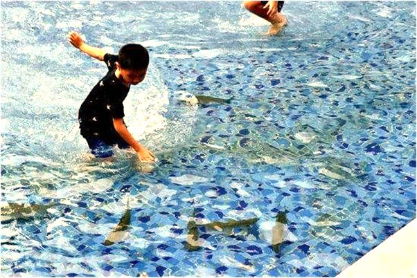 夢到兩把刀在飛是啥預兆_周公解夢官網