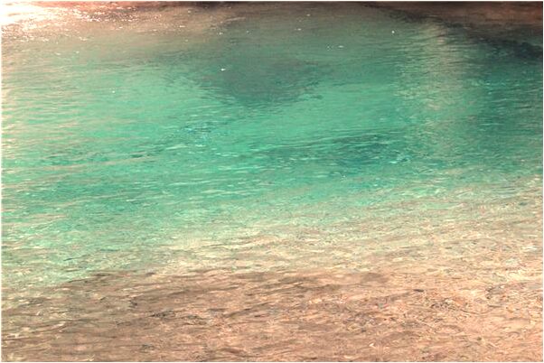 夢到了魚在蛇身上怎么說_周公解夢官網