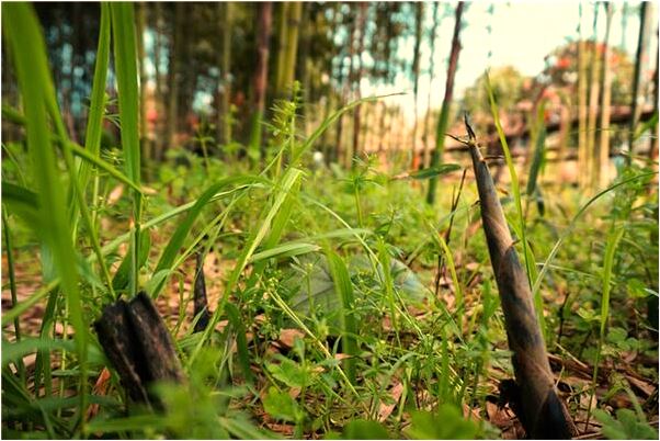 夢到朋友和不認識的人還有小孩是什麼徵兆_周公解夢官網