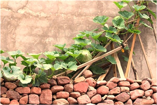 夢到了寫作業是什麼預兆_周公解夢官網