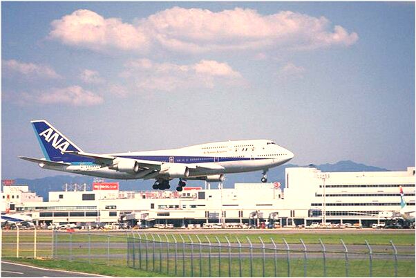 夢見摘木耳怎么樣_周公解夢官網