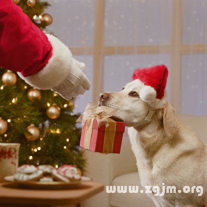 12星座聖誕祝福語_十二星座