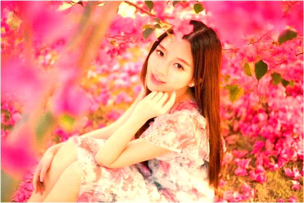 夢到了騎羊駝回家是不是好的徵兆呢_周公解夢官網