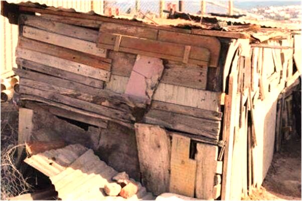 夢見自己家的老桃樹斷了是凶兆還是吉兆_周公解夢官網