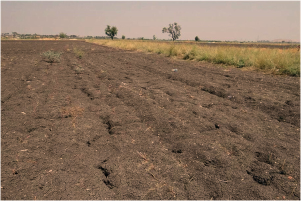 夢到了多次男朋友出軌是什麼預兆？_周公解夢官網