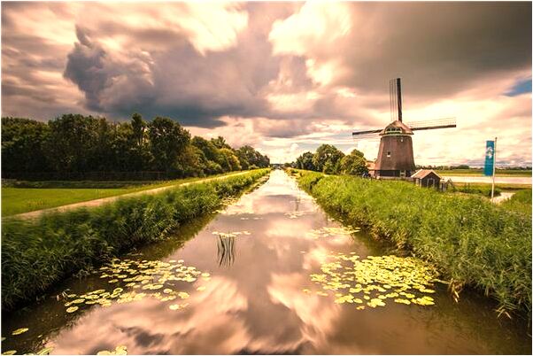 夢到了把杯埋在土裡是什麼意思？_周公解夢官網