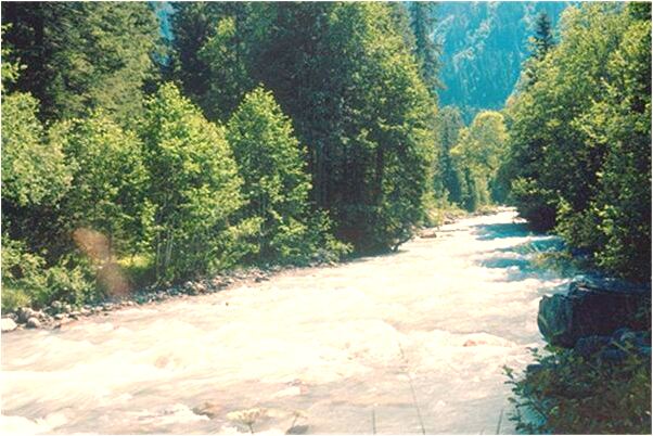 夢見蛇把羊吃了意味著什麼_周公解夢官網