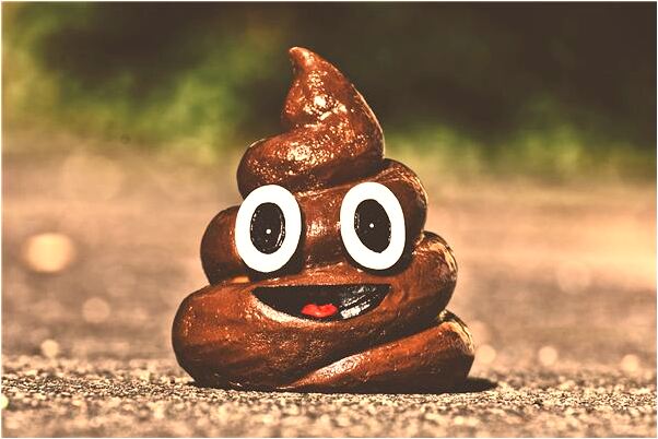 夢見媽媽家裡進蛇有什麼預示嗎_周公解夢官網