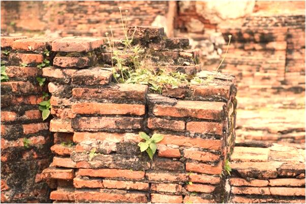 夢到了夢中說棺材預示了什麼_周公解夢官網