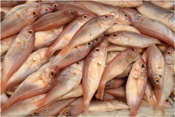 夢到了吃別人給的蘋果是啥預兆_周公解夢官網