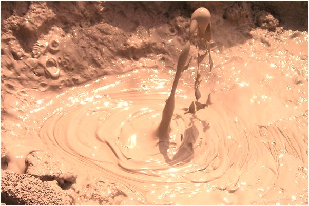 夢到朋友手機被偷了意味著什麼_周公解夢官網