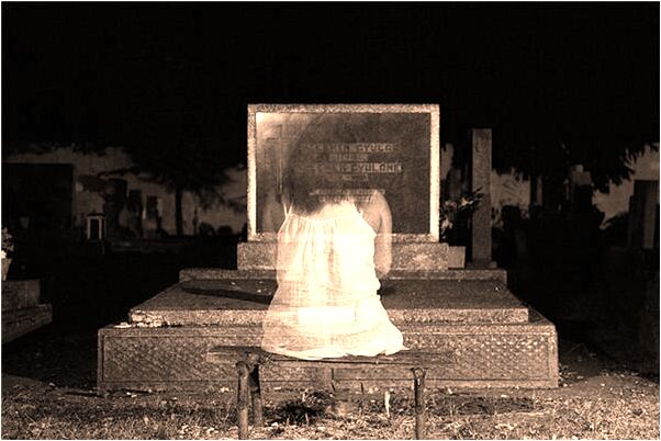 夢見追從古墳出來的野豬有什麼說法_周公解夢官網