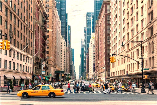 夢到巨型烏龜會是什麼預兆_周公解夢官網