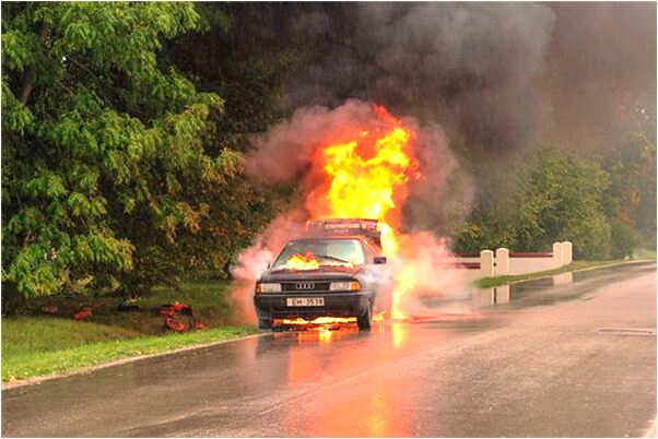 夢到蛇跳的很高意味著什麼_周公解夢官網