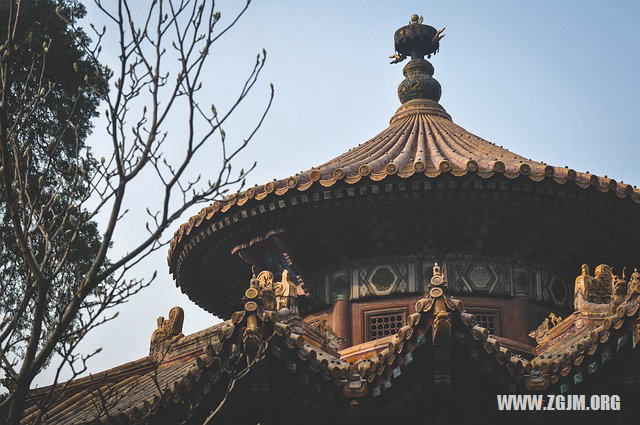 夢見老虎咬我手_周公解夢夢到老虎咬我手是什麼意思_做夢夢見老虎咬我手好不好_周公解夢官網