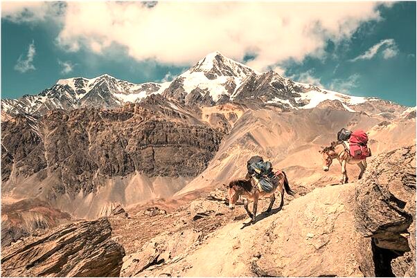 夢到舊筷子代表著什麼？_周公解夢官網