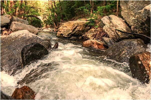 夢到大哥食物中毒的預兆_周公解夢官網
