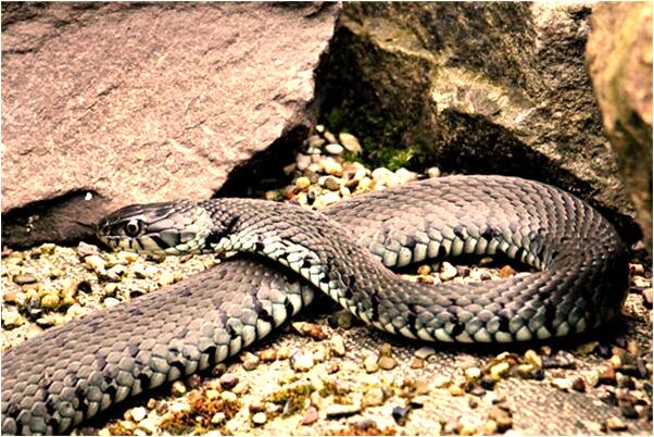 夢到和媽媽去醫院看病人有什麼意思嗎_周公解夢官網