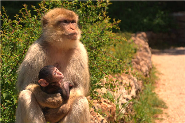 夢到了和教官一起去殺敵人有什麼說法_周公解夢官網
