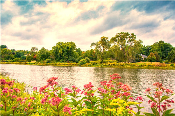 夢到了去健身房是好的徵兆嗎_周公解夢官網