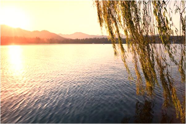 夢見男屍體會動有什麼意義嗎_周公解夢官網