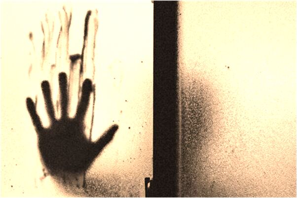 夢到生了七個蛋有何寓意_周公解夢官網