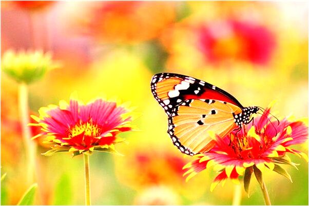 夢見最愛的人一起做作業是什麼意思_周公解夢官網