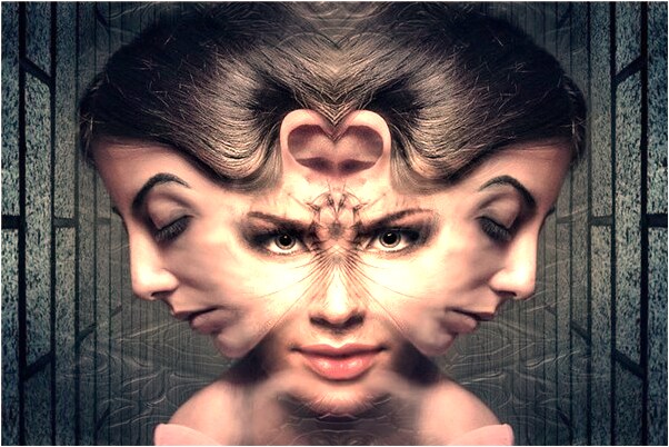 夢見和兩頭肥豬打架是什麼啟示_周公解夢官網