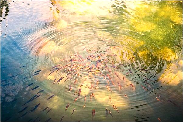 夢見以前阿姨在做醫生是不是好的徵兆呢_周公解夢官網