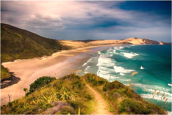 夢見紙上有血會是什麼預兆_周公解夢官網