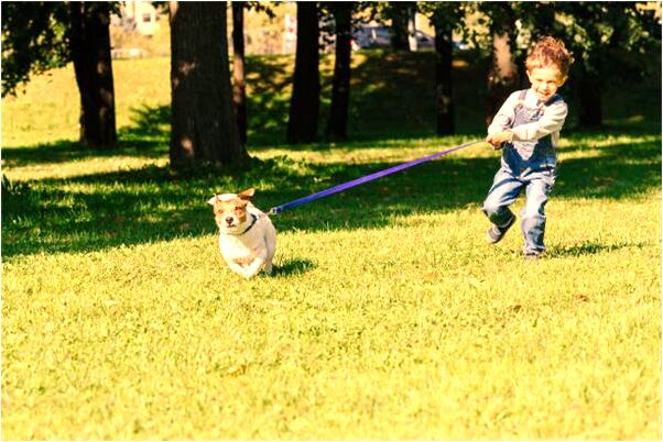 夢到了上廁所腿軟慢慢扶地上有什麼意義嗎_周公解夢官網