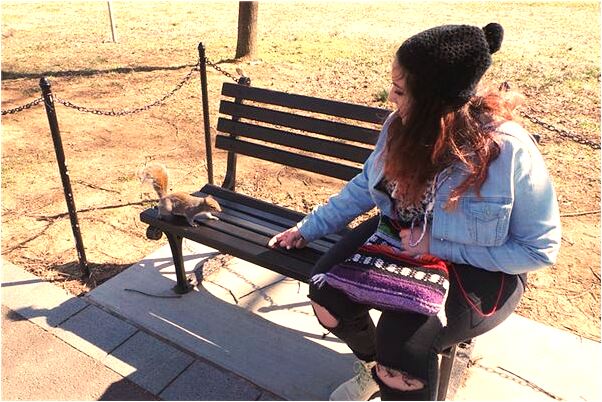 夢到自己買了個金戒指預示什麼_周公解夢官網