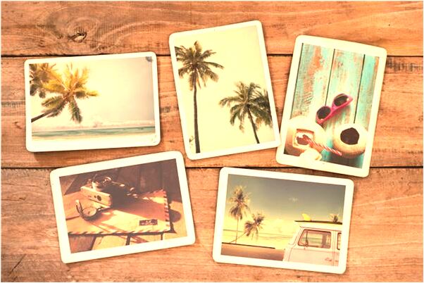 夢到拔死樹怎么說_周公解夢官網