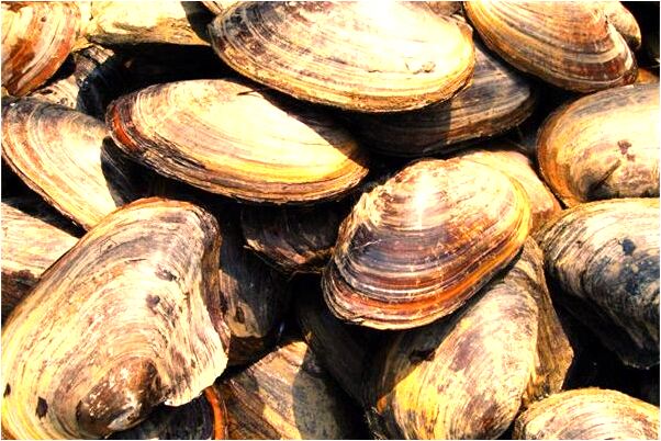 夢到了別人拿刀刺我反被我刺傷有什麼意義嗎_周公解夢官網