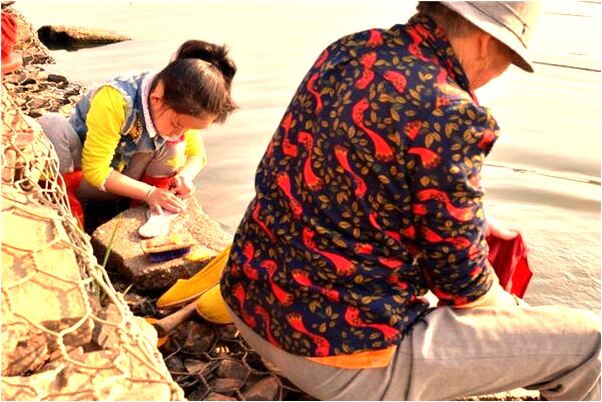 夢見很步萊有什麼寓意嗎_周公解夢官網