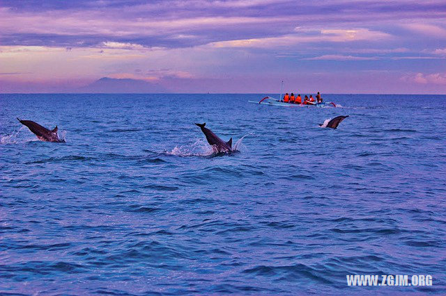 夢見做數學題_周公解夢夢到做數學題是什麼意思_做夢夢見做數學題好不好_周公解夢官網