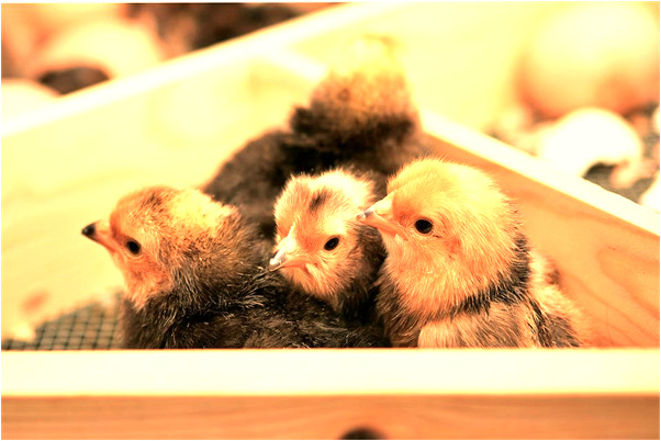 夢見像科幻大片的場景有什麼說法_周公解夢官網