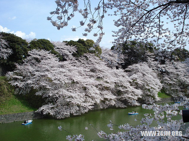 夢見人死又活了_周公解夢夢到人死又活了是什麼意思_做夢夢見人死又活了好不好_周公解夢官網
