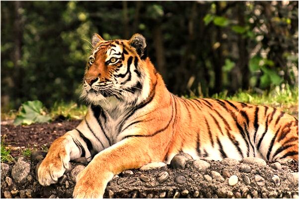 夢到地下有測所是什麼兆頭_周公解夢官網