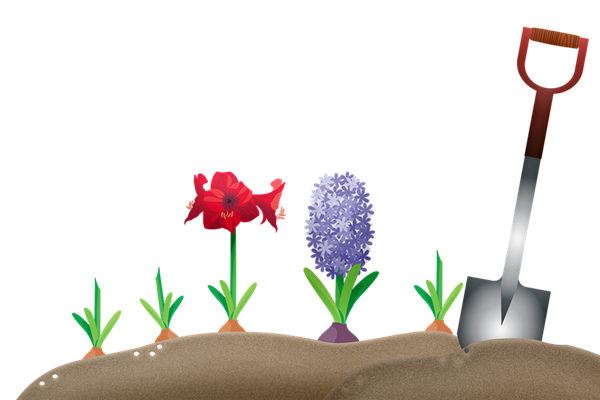 夢見埋骨灰意味著什麼_周公解夢