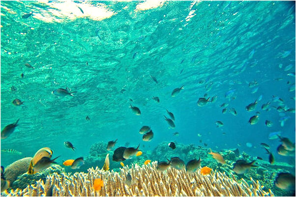 夢見嚇人的五層連環夢代表什麼_周公解夢官網