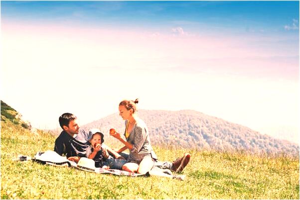 夢見誤拿他人手機預示了什麼_周公解夢官網