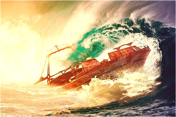 夢到了有人趕著兩個白老虎進我家有什麼意義嗎_周公解夢官網