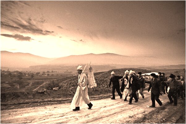 夢見腳上很多螞蟻是什麼徵兆_周公解夢官網