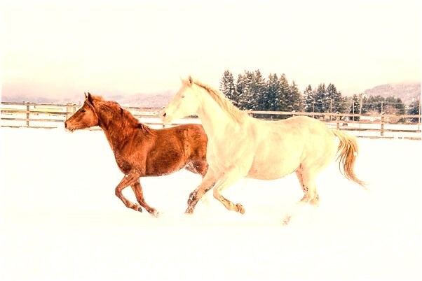 夢到弟弟得了自閉怎么說_周公解夢官網