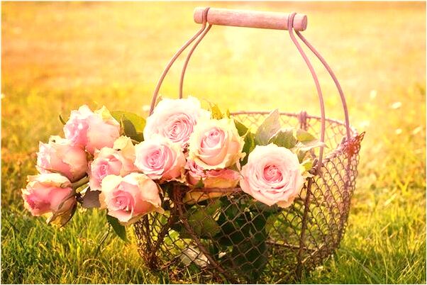 夢見被小狗跟著是好是壞_周公解夢官網