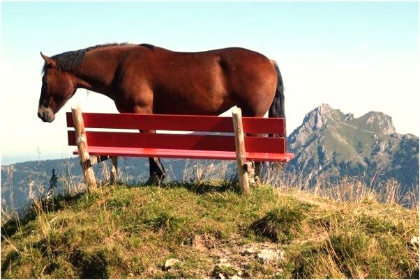 夢到屋後站著個人預示著什麼_周公解夢官網