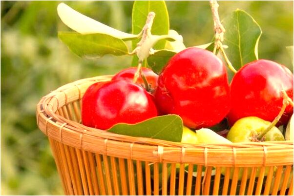 夢到有人給我一百塊錢有什麼寓意嗎？_周公解夢官網