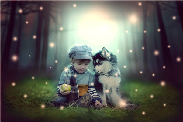 夢到原來上司怎么樣_周公解夢官網